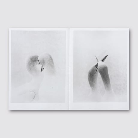 Jochen Lempert / Natural Sources Deutsch