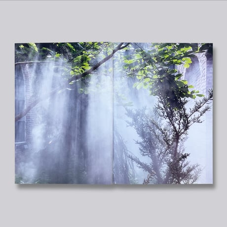 Ben Thorp Brown / Cura's Garden