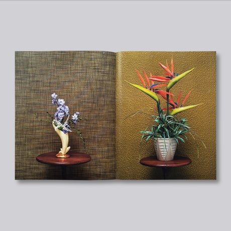 J. John Priola / Natural Light