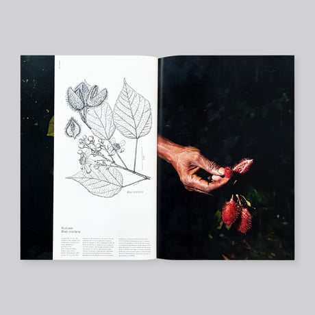 Michelle Piergoelam / Fourteen Leaves and a Cup of Water