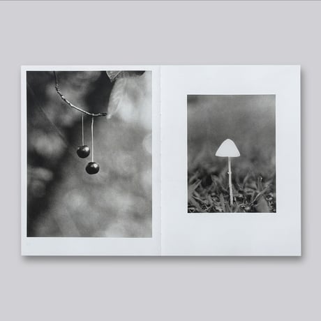 Jochen Lempert / Natural Sources Deutsch