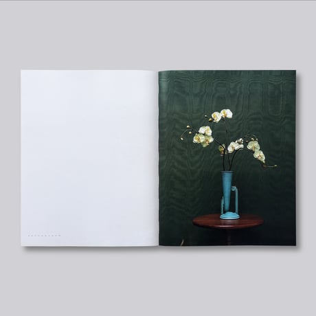 J. John Priola / Natural Light