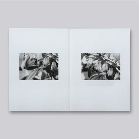 Jochen Lempert / Natural Sources Deutsch