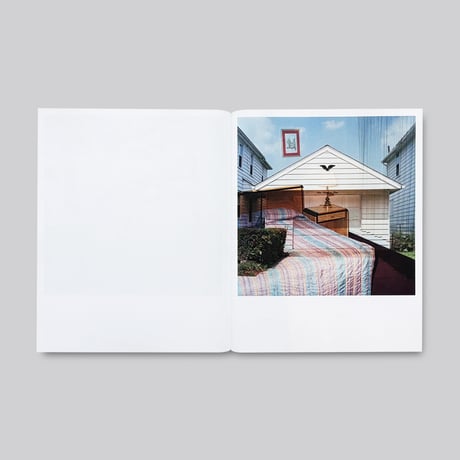 Jason Fulford / Frozen Features