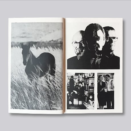 Feldmann: Voyeur  / 7. rev. Auflage 2021 (lila)