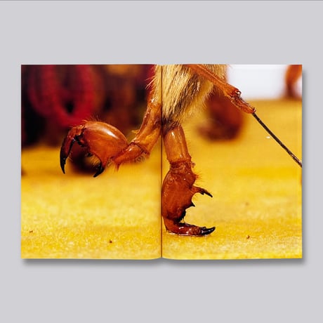 Simon Wald-Lasowski / The Art of the Hairy Monkey