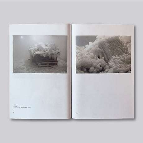 Peter Fischli & David Weiss / Snowman