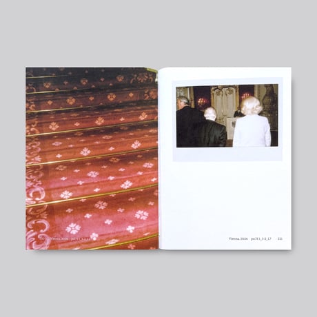 Michaela Spiegel / Instant Memoir ll
