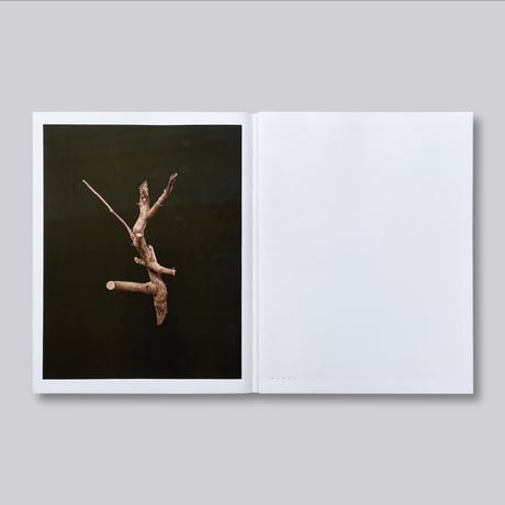 J. John Priola / Natural Light