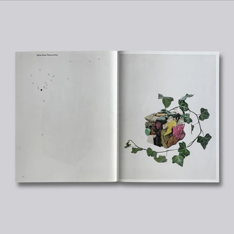 Boris Loder / Particles