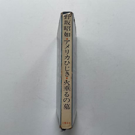 アメリカひじき　火垂るの墓