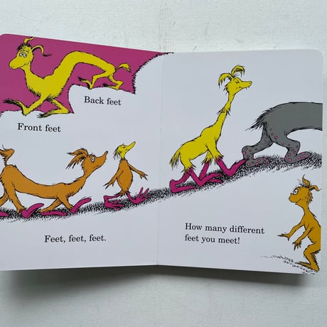 The FOOT BOOK