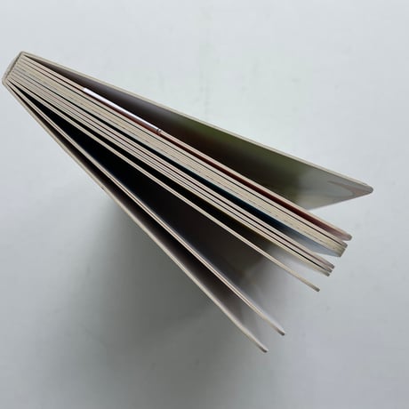 The FOOT BOOK