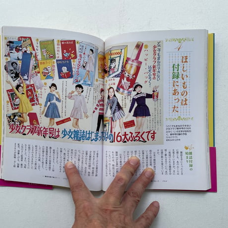 乙女のロマンス手帖