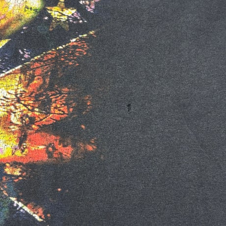 Pantera T-shirt【L】00563