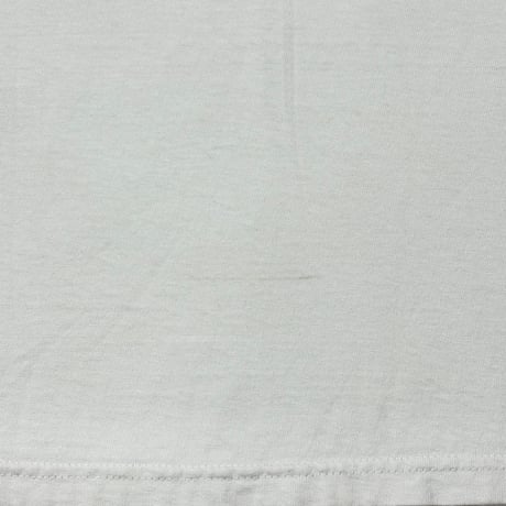 Anvil T-shirt【L】002404