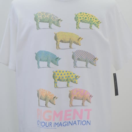 Pigment T-shirt【L】000465