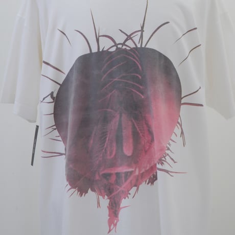 Alice In Chains T-shirt【XL】000308