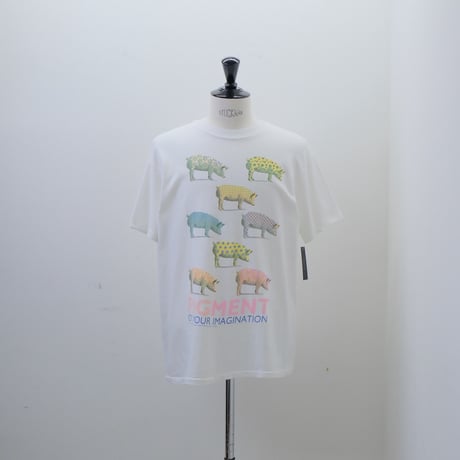 Pigment T-shirt【L】000465