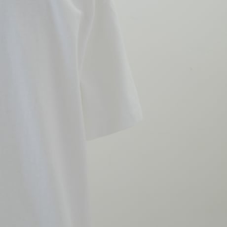Pigment T-shirt【L】000465