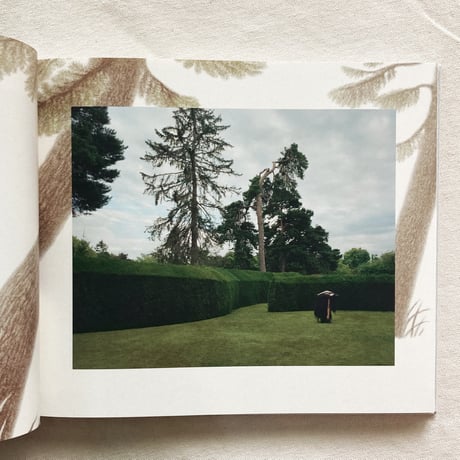 James Perolls｜Decaying with the speed of spring