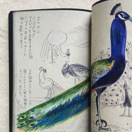 TAKEUMA｜A SKETCHBOOK