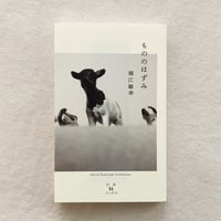 堀江敏幸｜もののはずみ
