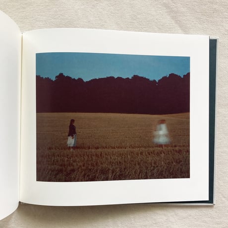 James Perolls｜Decaying with the speed of spring