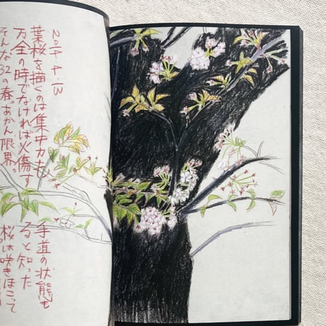 TAKEUMA｜A SKETCHBOOK