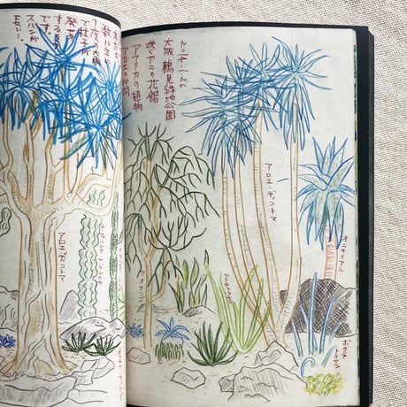 TAKEUMA｜A SKETCHBOOK