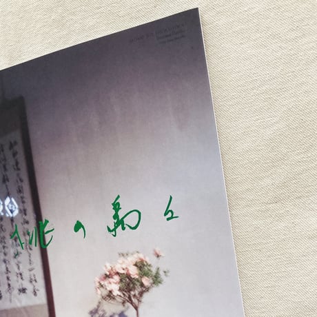 富澤大輔｜桃の島々