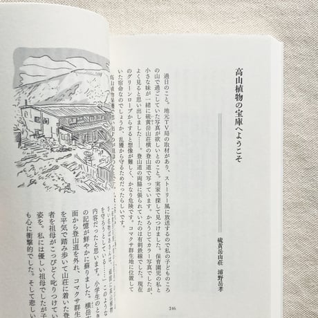 山小屋からの手紙