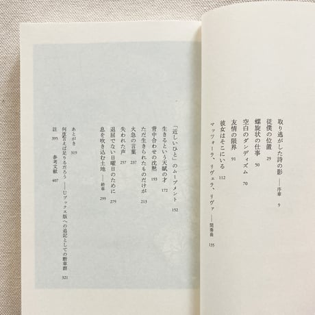 堀江敏幸｜魔法の石板　ジョルジュ・ペロスの方へ