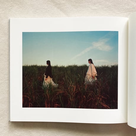James Perolls｜Decaying with the speed of spring