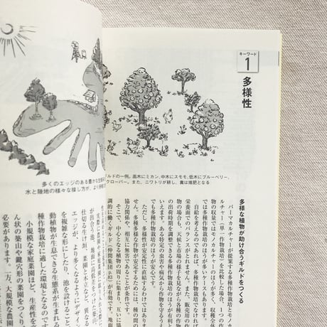 設楽清和｜パーマカルチャー菜園入門