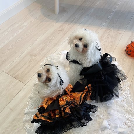 ゴシックプリンセスハロウインワンピ＾＾