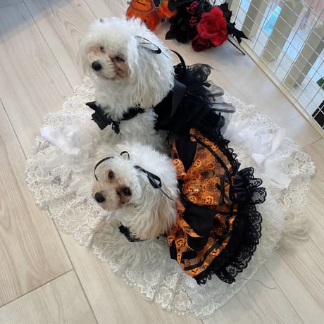 オレンジパンプキンハロウインワンピ＾＾