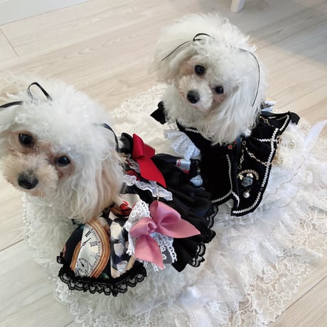 ノワールゴールドアリスハロウインワンピ＾＾