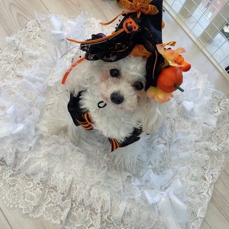 ハロウインパーティーワンピ＾＾