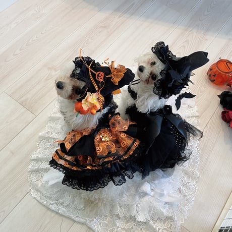 ゴシックプリンセスハロウインワンピ＾＾