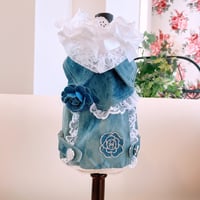 サンプル❤キラキラデニムJK　　胴35　丈18