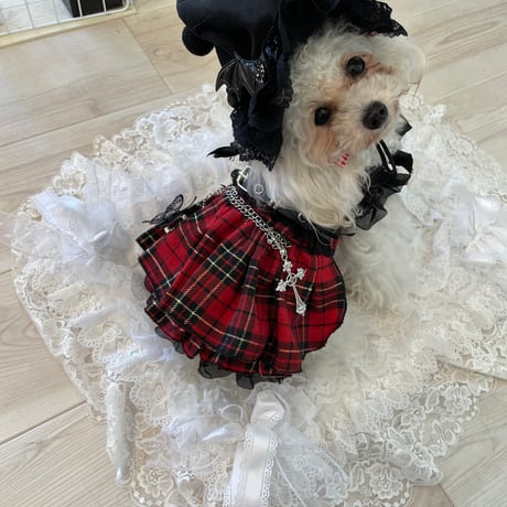 ゴシックチェックハロウインワンピ＾＾