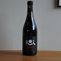 Nami Barbera 2023-ナミ・バルベーラ 2023/KOI di Flavio Restani