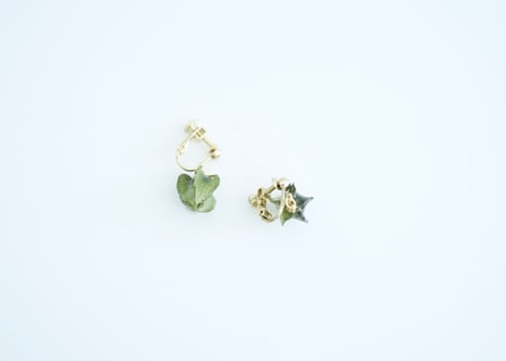 クロホオズキピアス・イヤリング