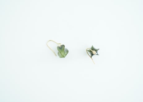 クロホオズキピアス・イヤリング