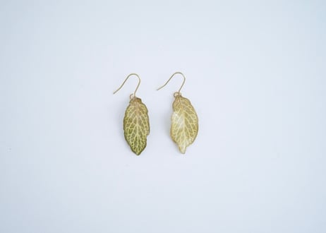フィットニアピアス・イヤリング