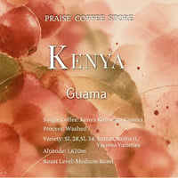 【SINGLE】ケニア　グアマ　ウォッシュド/ Kenya Guama Washed　100g/1,300円(税込価格)