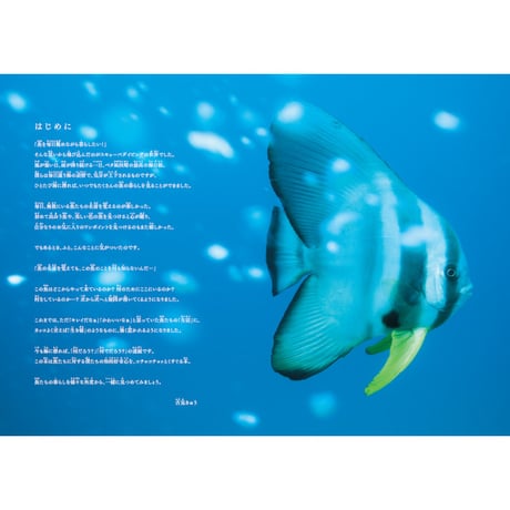 ［本］世界でいちばん素敵な魚の教室