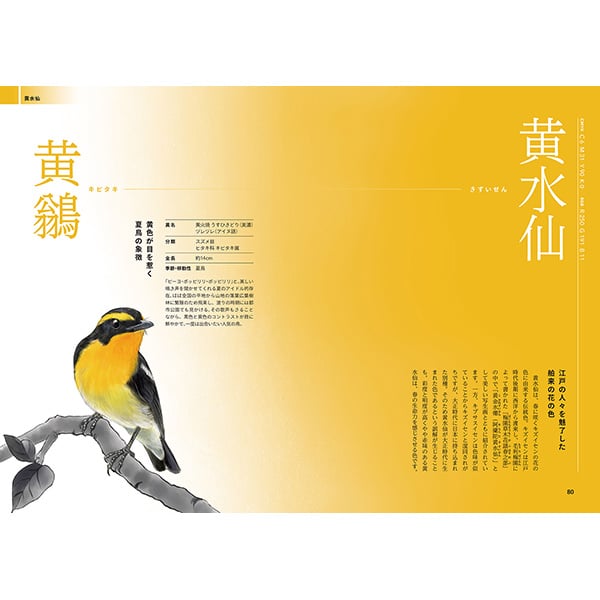 伝統色とトリノイロ | 三才ブックス