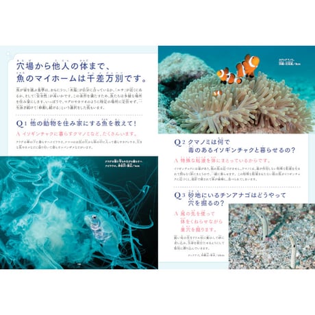［本］世界でいちばん素敵な魚の教室